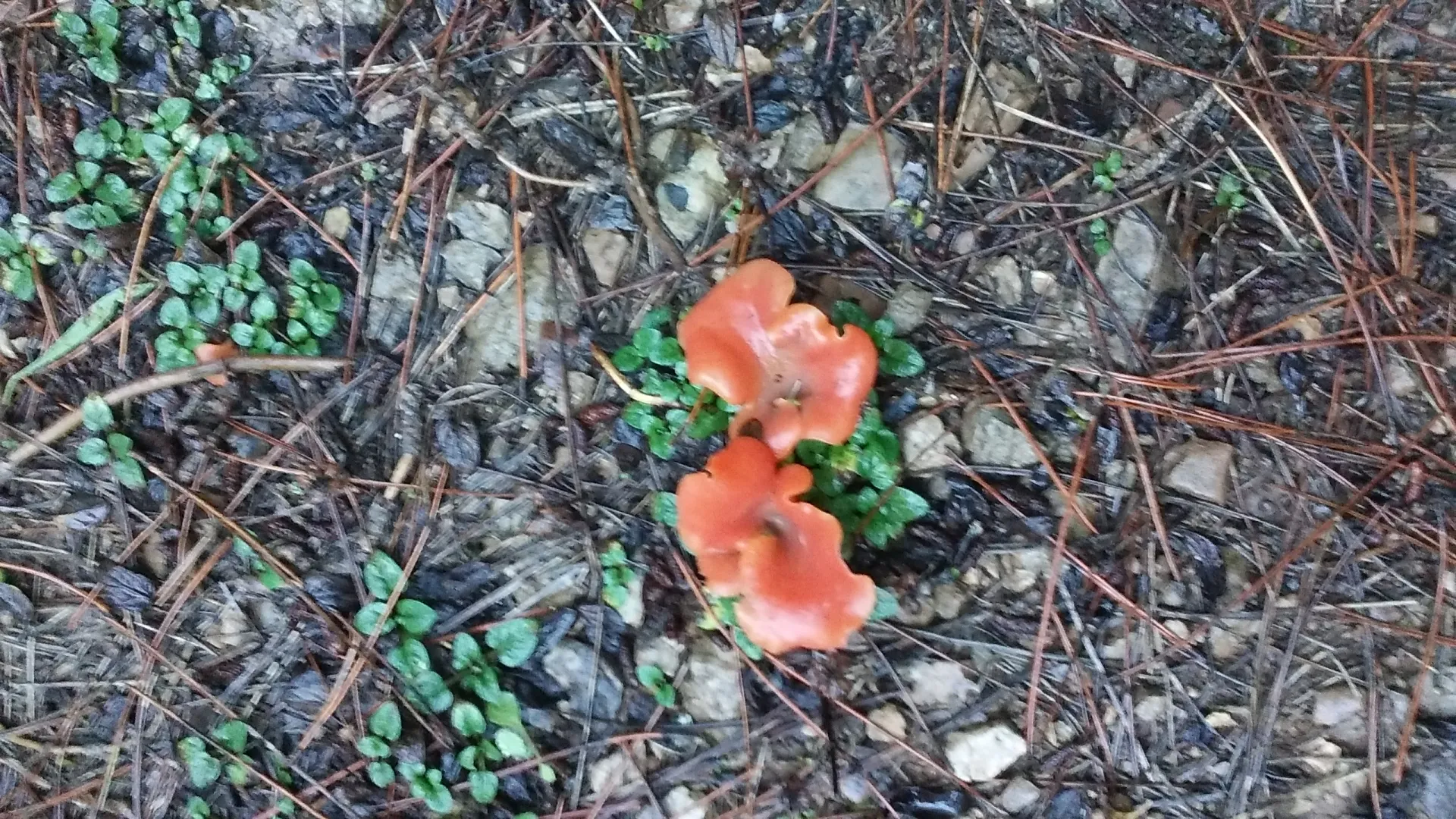1 -